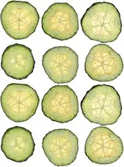 TEHAUX 12pcs Dried Pressed Cucumber Slices for DIY Decor Craft Supplies Handmade Decorations