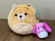 Squishmallow 4.5” Sager Pink Dog NWT 10.5” Chow Chow Ultra Rare Set Valentine
