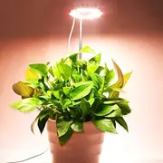 Grow Light, CANAGROW Full Spectrum LED Plant Lights for Indoor Plants, Height Adjustable Plant Halo Growing Lamps, Auto On/Off Timer, 3 Lighting Modes & 10 Dimmable Brightness (2 Pack)