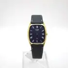 Quartz Watch Citizen 8040033