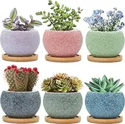 Thriving Thicket 3 inch Ceramic pots for Plants, Small Succulent Pots Set with Drainage, 6 Pack Flower Pot for Indoor Plant, Planters for Little or mini Cactus 2 inches Plants
