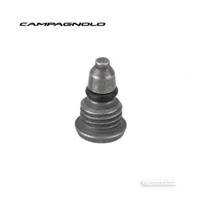 CAMPAGNOLO ERGOPOWER DISC BLEEDING SCREW