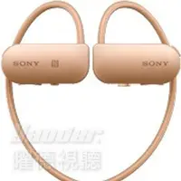 在飛比找Yahoo!奇摩拍賣優惠-【曜德☆刷卡0利率】SONY SSE-BTR1 金 隨身教練