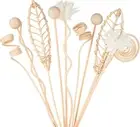 Reed Diffuser Stick, 12Pcs 10Inch Natural Rattan Flower Reed Fragrance Diffuser