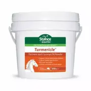 STANCE EQUITEC TURMERICLE POWDER 500gr Tumeric & Coconut Oil powder