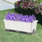 Window Planter, Unique Windowsill Planter with Tray, Novelty Plant Container,