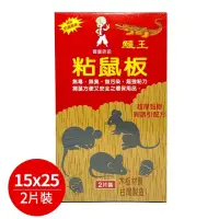 在飛比找momo購物網優惠-【生活King】鱷王黏鼠板15x25(2片裝)