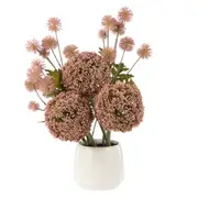 Rogue Allium Pompom Mix Gianna Pot - Pink