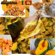 Dried Pumpkin Powder pure natural Organic Vegetable Cucurbita Herb