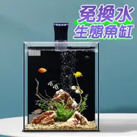 在飛比找蝦皮商城優惠-免換水生態魚缸 含過濾及造景 沉木造景魚缸套餐 海水魚缸 金