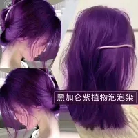 在飛比找蝦皮購物優惠-【台灣出貨】黑紫色泡沫型染髮膏植物2024流行色自己在家染顯