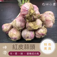 在飛比找蝦皮購物優惠-伸港蒜頭 台灣蒜頭 2024新蒜 在地農民自產自銷 紅皮蒜頭