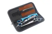Salon Hair Dressing Scissors Kit Silver Styling Hair Cut Stainless Steel Tools Gift