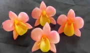 4 pink orchid floating candles 6cm wide table centrepiece party gift homeware
