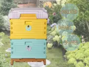 Insulated Plastic Bee Hive Bee Boxes Bee Hives Beehive Beekeeping Hives Honey