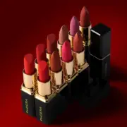 PHOERA Matte Lipstick Classic Beauty Lip Gloss Velvet LippenstiftTinted Balm Lip