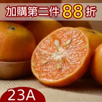 在飛比找台灣好農優惠-履歷達人茂谷柑(23A)(5台斤) 第二件88折