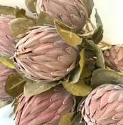 ARTIFICIAL FLOWER STEM AUSTRALIAN NATIVE QUEEN PROTEA DRIED FLOWERS BROWN FAKE