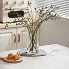 Easy Clean Diatomaceous Earth Plant Saucer with Silicone Feet Your Plants