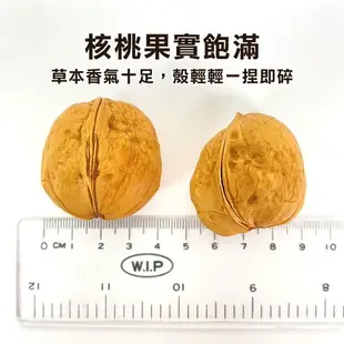 【現貨】核桃 烤核桃 西域果園新疆紙皮烤核桃500g 草本味 紙皮核桃 零食 零嘴 堅果 伴手禮 年節 美食 柚柚的店