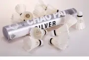 3x Silver Chaopai Feature Badminton Shuttlecocks 12pc (VIctor RSL compatible)