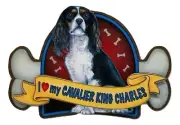 I love My Cavalier King Charles Artwood Fridge Magnet