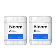 Athena Blended Line Bloom A + B - [Size: 18.9L]