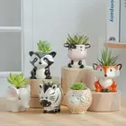 Cute Animal Animal Plant Pot Multifunction Cactus Potted