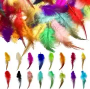 800pcs Colorful Feathers 16 Colors Craft Feathers Bulk Chicken Feathers for