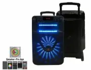MR DJ 12" Portable Speaker with Bluetooth/Rechargeable Battery and App Control 3