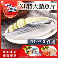 在飛比找momo購物網優惠-【心鮮】老饕最愛挪威鯖魚片30件組(170g-200g/片)