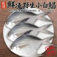 在飛比找momo購物網優惠-【三頓飯】鮮凍小白鯧(共40尾_2尾/100g/包)