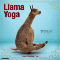 在飛比找博客來優惠-Llama Yoga 2025 12 X 12 Wall C