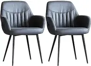 CADYNN Dining Room Chairs Set of 2 Modern Waterproof Technical Cloth Kitchen Living Room Lounge Chairs Carbon Steel Frame Living Room Chairs (Color : Dark Gray)