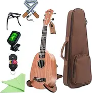 FANGXIN Soprano Ukulele for Beginner 21 Inch Sapele Wood Panel Ukulele Ukelele with Gig Bag Strap Nylon String Tuning Clip Tuner 5 Picks (Pineapple Shape）