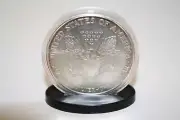 Coin DISPLAY STANDS for Silver Eagle/Morgan/Peace/IKE Dollar Capsules (QTY 100)