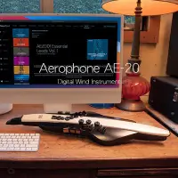在飛比找Yahoo!奇摩拍賣優惠-小叮噹的店 - Roland Aerophone AE-20