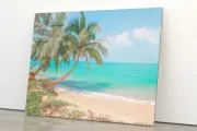 Beach with Palm Tree 3D Tempered Glass Printing Wall Art Australian Made Quality