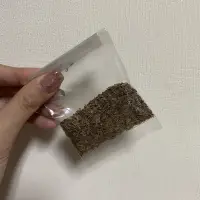 在飛比找蝦皮購物優惠-茴香 小茴香 甜茴香 種子 種苗 花苗 蔬菜 水果