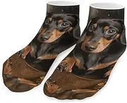[QMNVBDS] Cute Dachshund Socks Ankle Length Socks Casual Short Socks for Women Men Low Cut Sports Socks Running Socks No Show Socks Ankle Socks Athletic Socks Workout Socks, Style, One Size