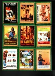 1996 DART SMOKEY THE BEAR 50-CARD SET MINT ALL CARDS ARE PICTURED. TRADING CARDS