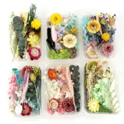 1Box Random Real Dried Flower Dry Plants DIY Aromatherapy Candle Epoxy Resin_io