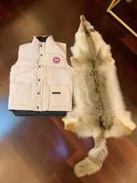 在飛比找Yahoo!奇摩拍賣優惠-Canada goose FREESTYLE CREW VE