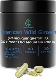Holistic Bin Wild American Ginseng Capsules Pure Organic Ginseng Supplement Made with Wild Harvested 20+ Year Old Roots from Appalachia (Panax Quinquefolius) | No Fillers or Additives (40 Capsules)