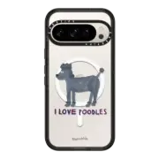 Google Pixel 9 Pro Impact Magnetic Case Robin Poo
