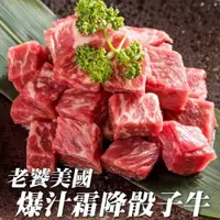 在飛比找ETMall東森購物網優惠-海肉管家-美國PRIME等級一口骰子牛肋排精裝版5包(每包約