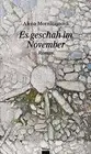 Alena Mornštajnová Raija Hauck Es geschah im November (Hardback)