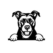 American Staffordshire Vinyl Decal Car Window Laptop Tablet Notebook