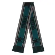 FOCO NHL San Jose Sharks Gray Big Logo Scarf
