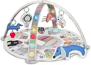 Skip Hop Vibrant Village Smart Lights Activity Gym, Multi